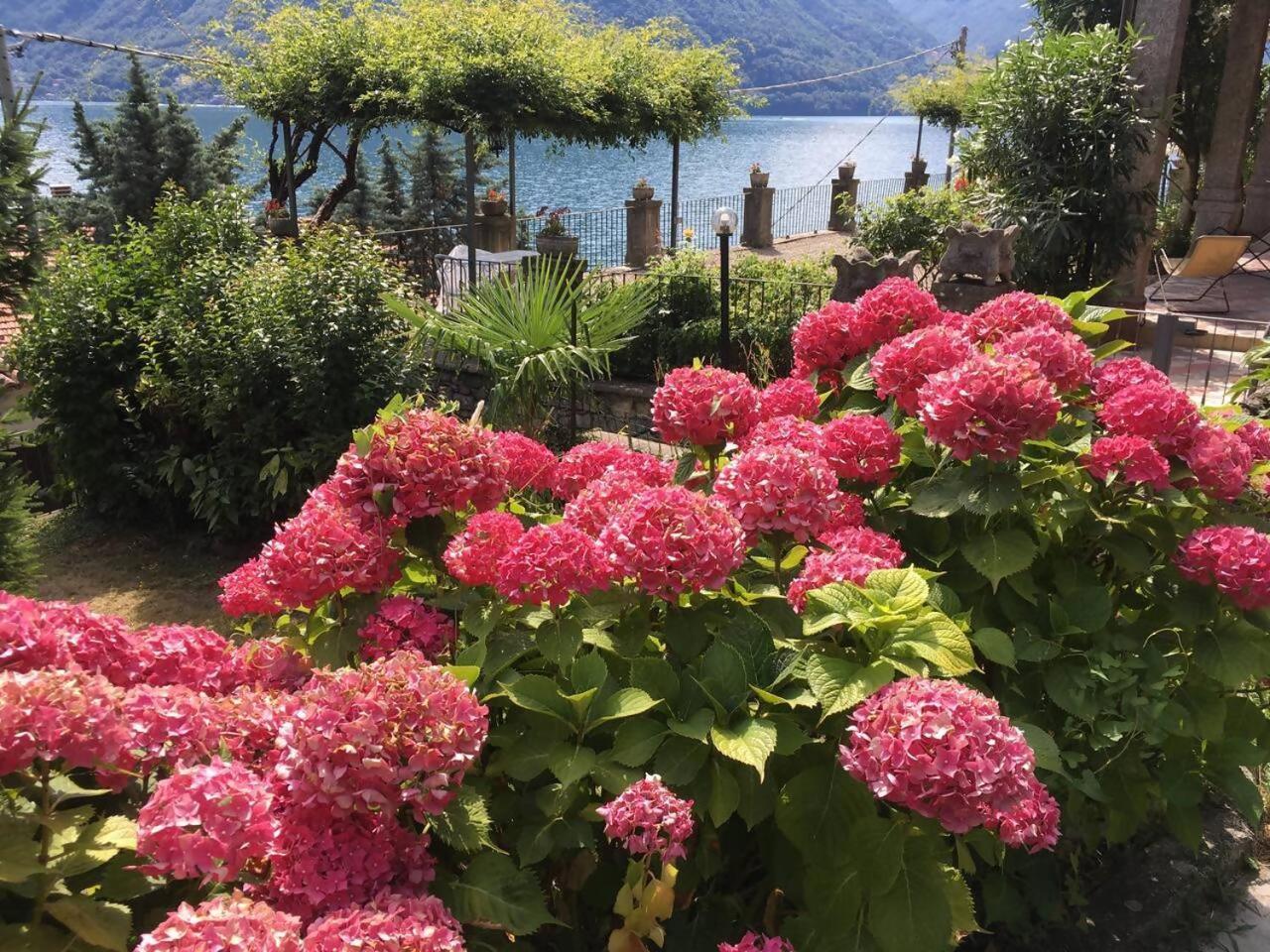 Villa Peroni Honeymoon Cottage Argegno Kültér fotó